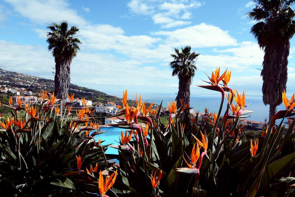 Hotel Quinta Alegre Calheta  Exterior foto